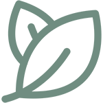 leaf icon